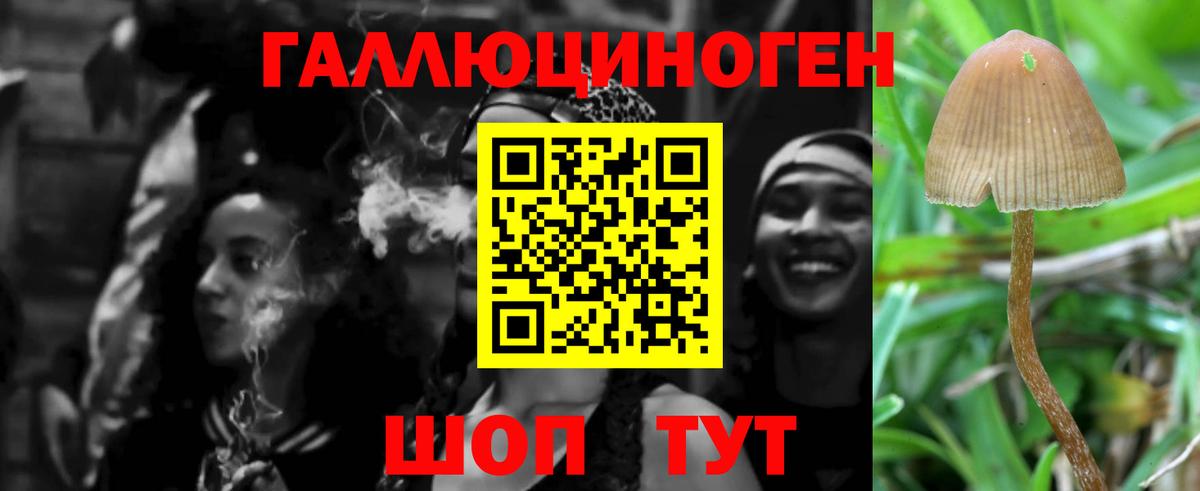 продажа наркотиков  Галлюциногенные грибы MAGIC MUSHROOMS  Кировск  Вход с VPN  Галлюциногенные грибы Cubensis 